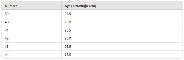 ERKEK NYK274 AYAKKABI