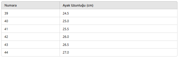 ERKEK ZB659 TERLİK