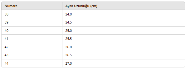 ERKEK NYK342 DERİ AYAKKABI