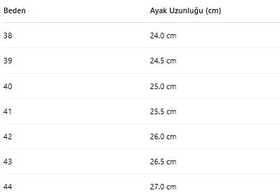 ERKEK ZB70 AYAKKABI