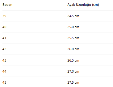 ERKEK ZB74 AYAKKABI