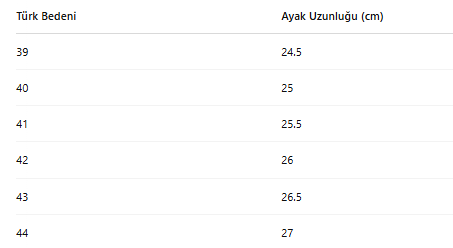 ERKEK ZBN452 AYAKKABI