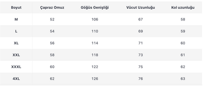 ERKEK ECT265 CEKET