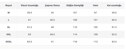 ERKEK ECT437 CEKET