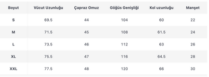 ERKEK ECT415 CEKET