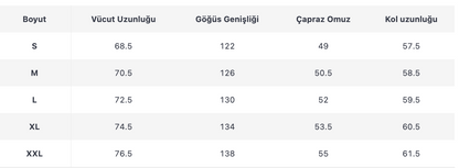 ERKEK ECT408 CEKET