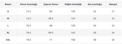 ERKEK ECT407 CEKET