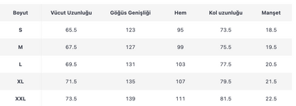 ERKEK ESW382 HOODİE