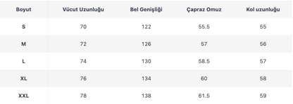 ERKEK ECT379 CEKET