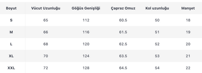 ERKEK ESW375 HOODİES