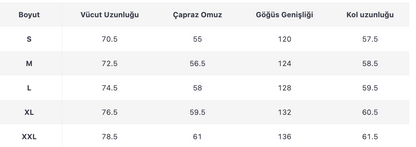 ERKEK EGB357 GÖMLEK