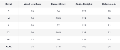 ERKEK ESW356 HOODİE