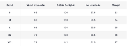 ERKEK ECT251 CEKET