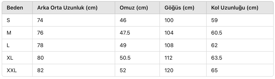 ERKEK ECT236 CEKET
