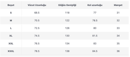 ERKEK ECT295 CEKET