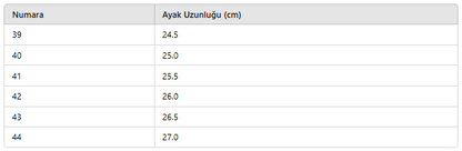 ERKEK NYK274 AYAKKABI