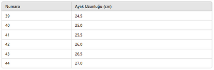 ERKEK ZB659 TERLİK