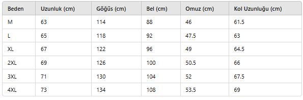 ERKEK ECT267 CEKET