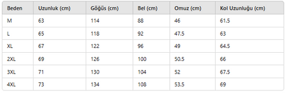 ERKEK ECT267 CEKET