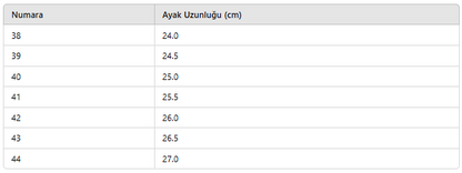 ERKEK NYK342 DERİ AYAKKABI