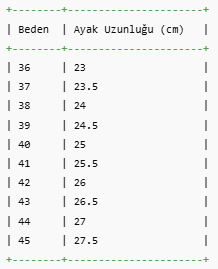 ERKEK ZBZ50 AYAKKABI