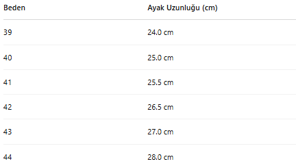 ERKEK ZB66 AYAKKABI