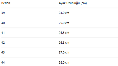 ERKEK ZB66 AYAKKABI