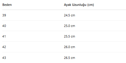 ERKEK ZB59 AYAKKABI