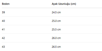 ERKEK ZB59 AYAKKABI