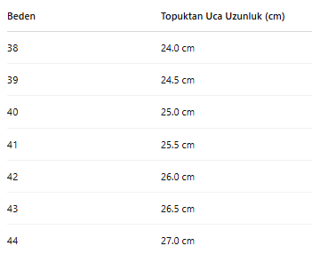 ERKEK ZB280 AYAKKABI
