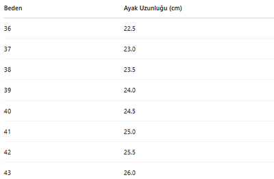 ERKEK ZB12 AYAKKABI