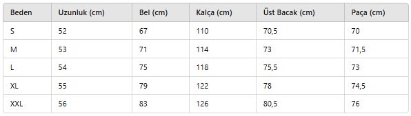 ERKEK ESH66 SHORTS