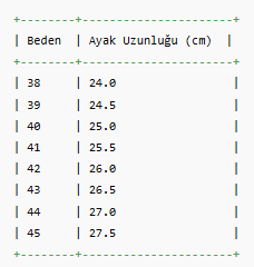 ERKEK ZB39 AYAKKABI
