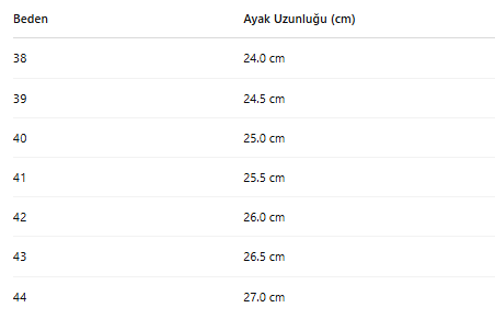 ERKEK ZB60 AYAKKABI