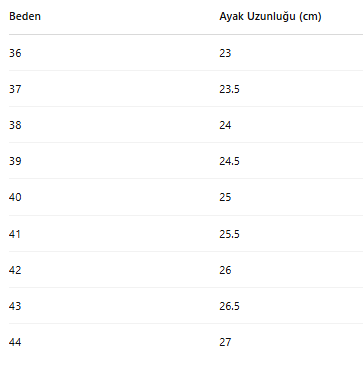 ERKEK ZB149 AYAKKABI