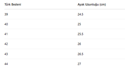 ERKEK ZBN452 AYAKKABI