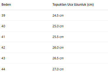 ERKEK ZB287 AYAKKABI