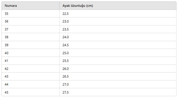 ERKEK NTS373 TERLİK