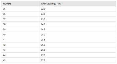 ERKEK NTS373 TERLİK